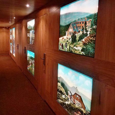 Resident Resort Harrachov & Grotta Spa المظهر الخارجي الصورة
